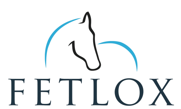 Fetlox Ltd logo