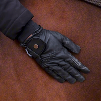fetlox-pro-waterproof-riding-gloves-black