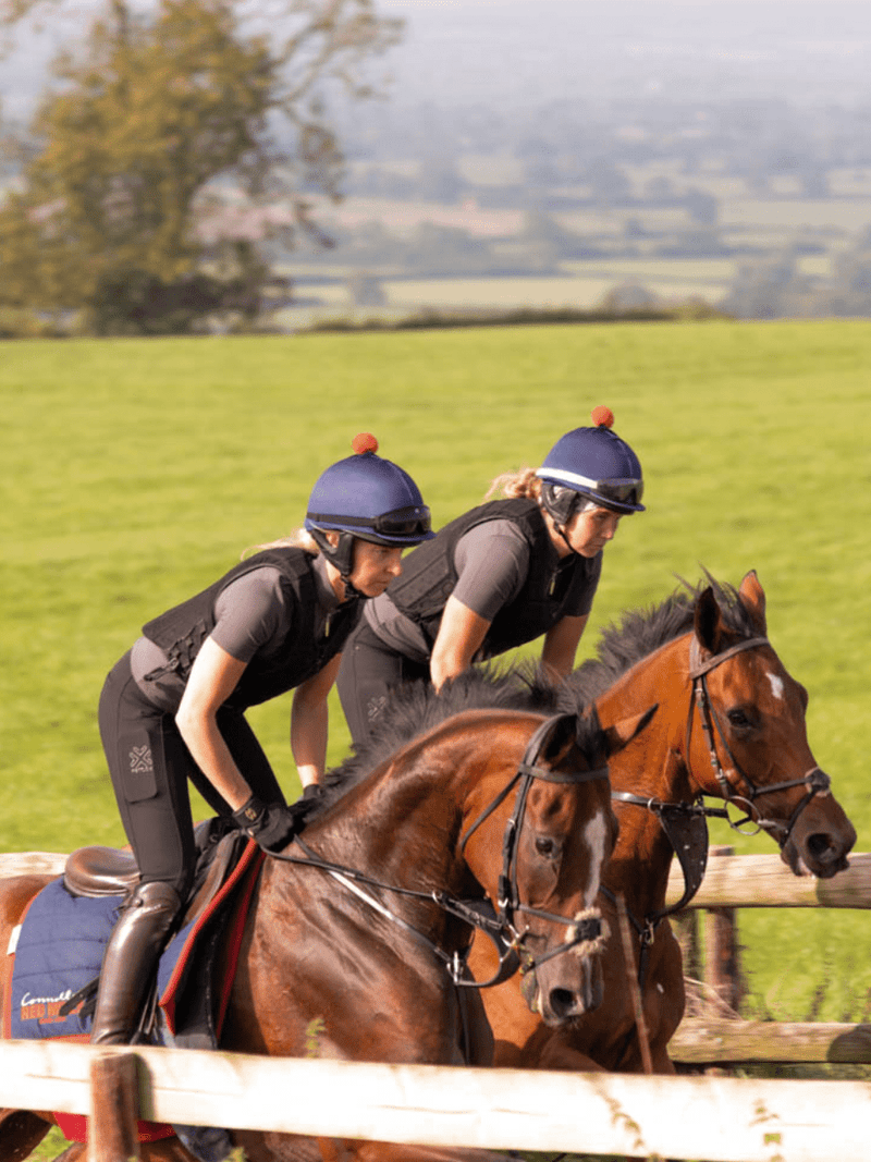 FX Performance Breeches - Black - fetlox