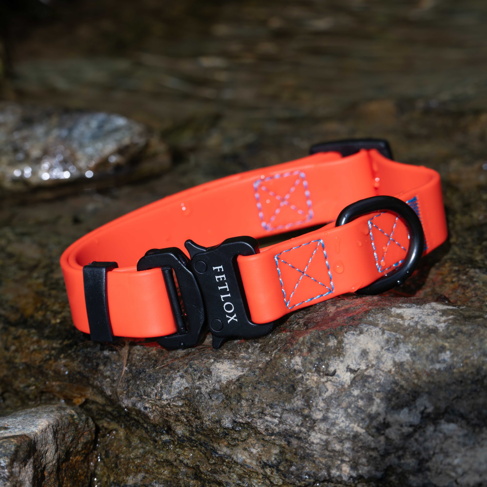 Rufus orange collar with splashes of water on rock - fetlox
