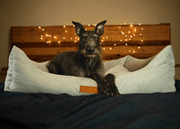 THE HIGHCLERE | LUXURY MEMORY FOAM BED
