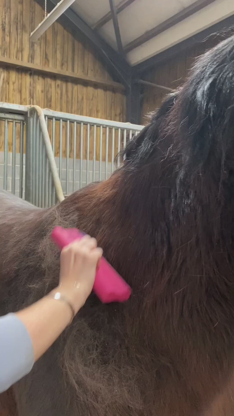 horse being groomed using Vanquish Unicorn Groomer - Fetlox