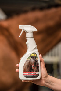 Smart Grooming Perfect Plaits Spray - fetlox