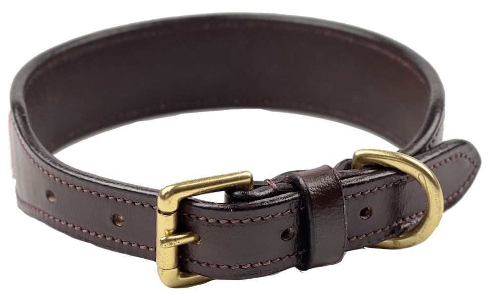 Beaded Dog Collar - Fetlox