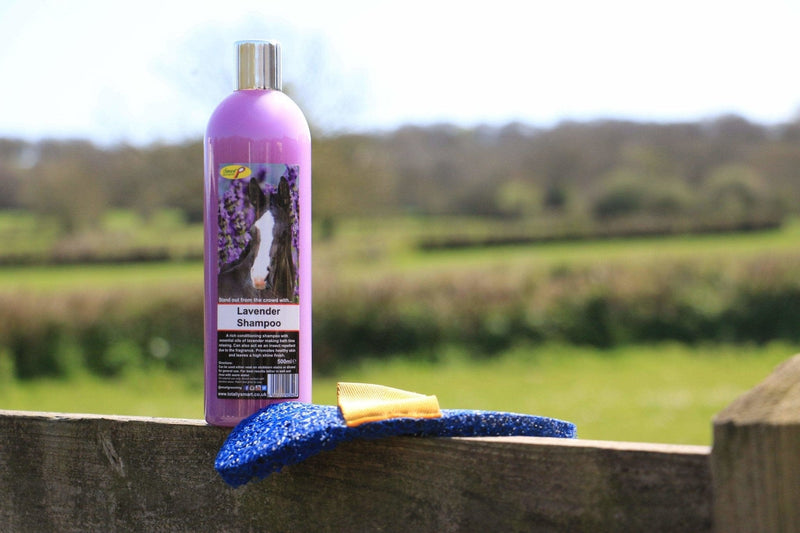 Smart Grooming Lavender Shampoo - Fetlox