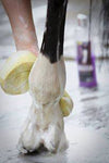 Smart Grooming Lavender Shampoo - Fetlox